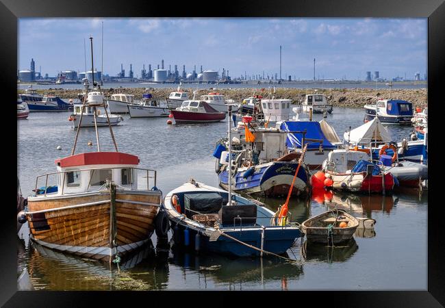 Cod and Chemicals. Framed Print by Bill Allsopp