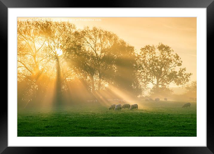 A new day's rays #1 Framed Mounted Print by Bill Allsopp