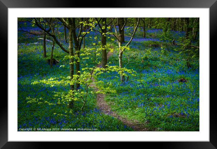 Green and blue. Framed Mounted Print by Bill Allsopp