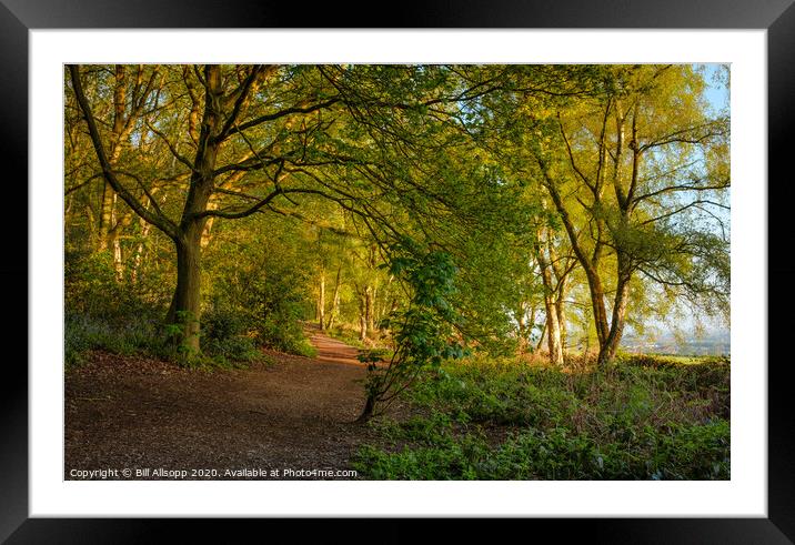 A path in The Outwoods. Framed Mounted Print by Bill Allsopp