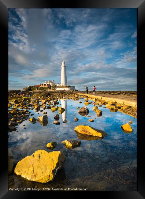 St. Marys lighthouse. Framed Print by Bill Allsopp