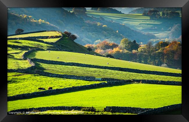 Small fields and stone walls. Framed Print by Bill Allsopp