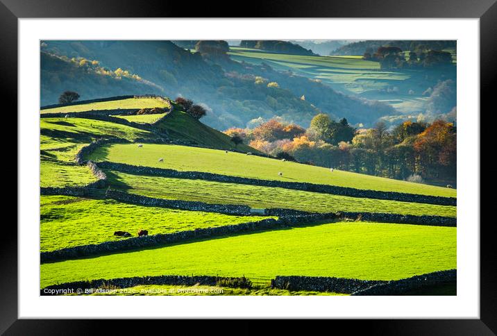 Small fields and stone walls. Framed Mounted Print by Bill Allsopp