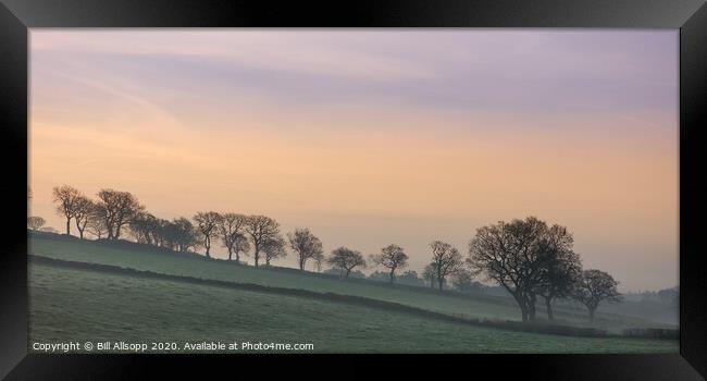 Spring dawn, Woodhouse Eaves Framed Print by Bill Allsopp