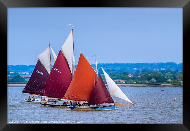 Skiffs Framed Print by Bill Allsopp