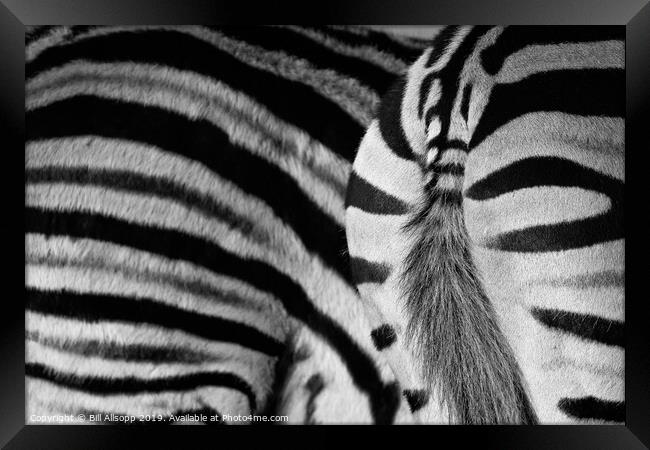 Stripes. Framed Print by Bill Allsopp