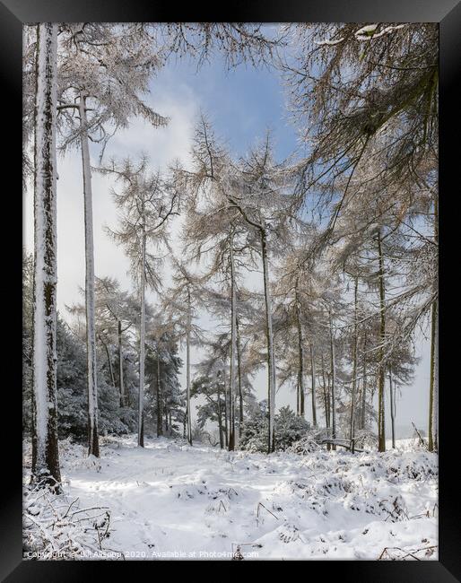 Winter wonderland Framed Print by Bill Allsopp