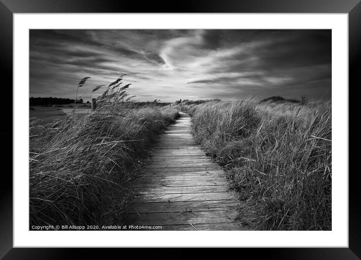 The walker. Framed Mounted Print by Bill Allsopp