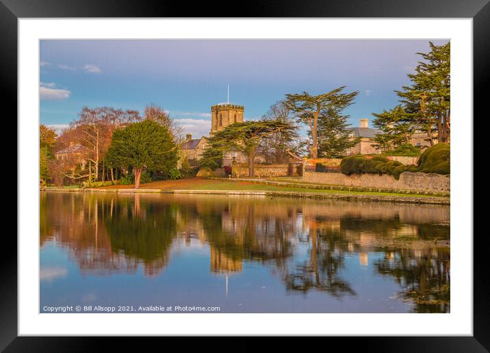 Reflections in the pool. Framed Mounted Print by Bill Allsopp