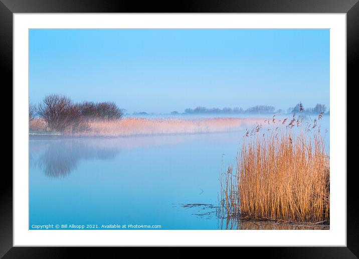 Blue and gold Framed Mounted Print by Bill Allsopp