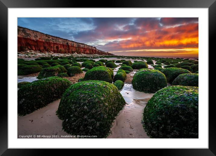 Boulders on the beach. Framed Mounted Print by Bill Allsopp