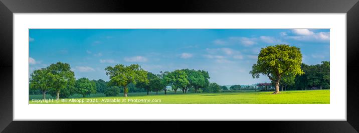 Green fields and trees. Framed Mounted Print by Bill Allsopp