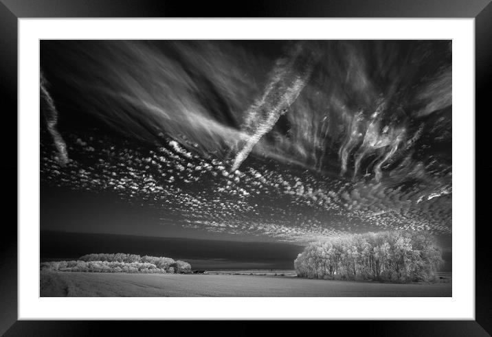Corn, copse, clouds #2. Framed Mounted Print by Bill Allsopp