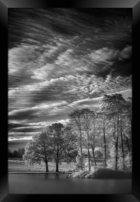 In dawns rays. Framed Print by Bill Allsopp