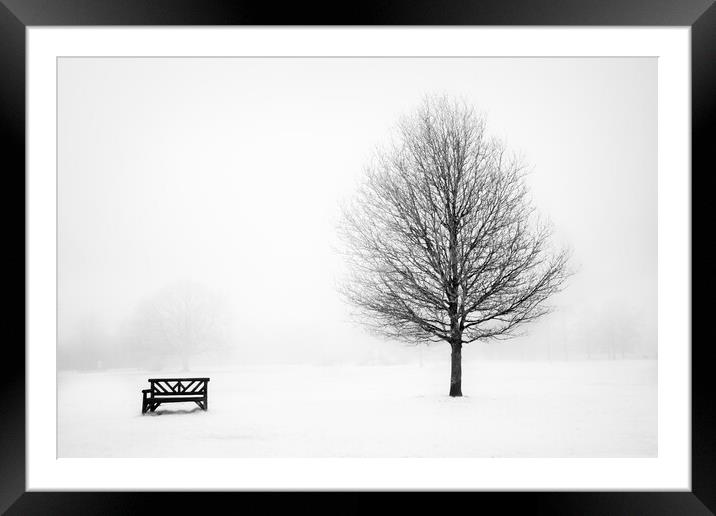 Bench and tree. Framed Mounted Print by Bill Allsopp