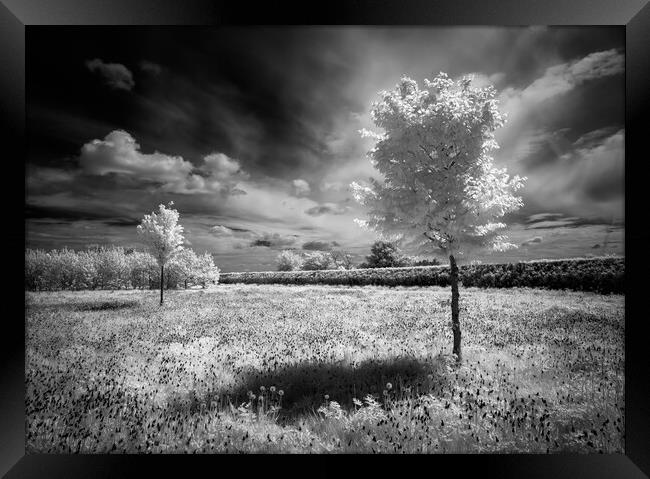 Time's Up. Framed Print by Bill Allsopp