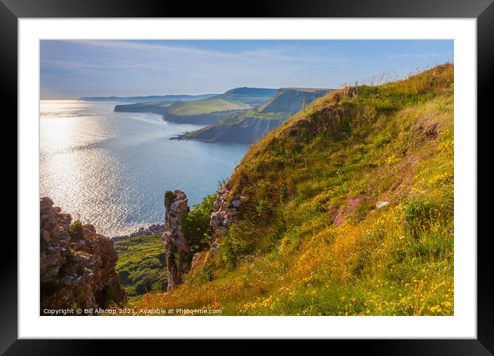 The Jurassic coast. Framed Mounted Print by Bill Allsopp