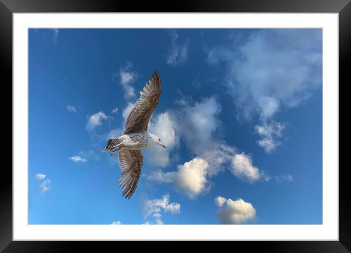 Up Up and away. Framed Mounted Print by Bill Allsopp