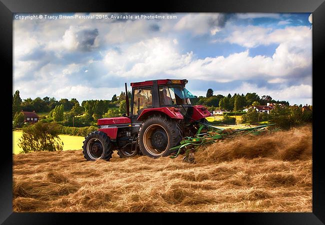 Cutting Hay Framed Print by Tracy Brown-Percival