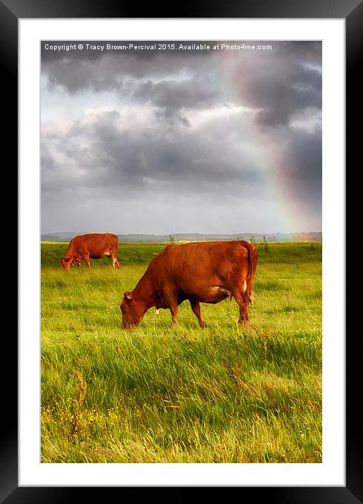  Rainbow at Elmley Framed Mounted Print by Tracy Brown-Percival