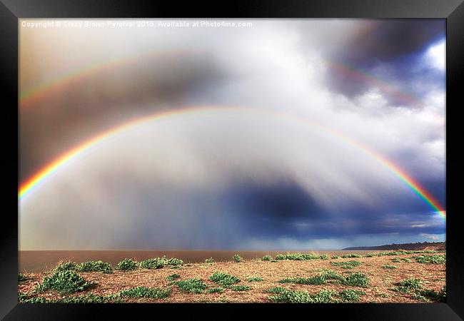Under the Rainbow Framed Print by Tracy Brown-Percival