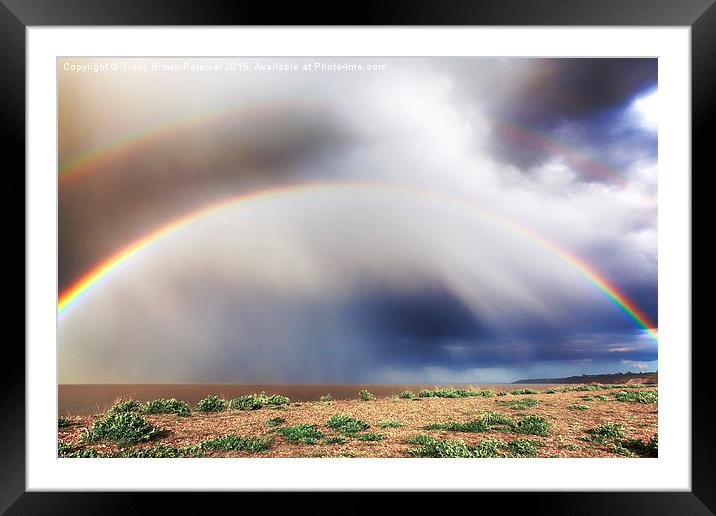Under the Rainbow Framed Mounted Print by Tracy Brown-Percival