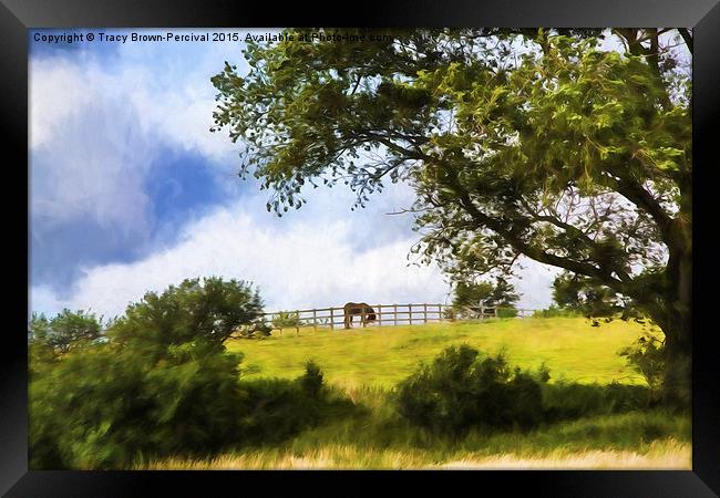  Horse on the Hill Framed Print by Tracy Brown-Percival
