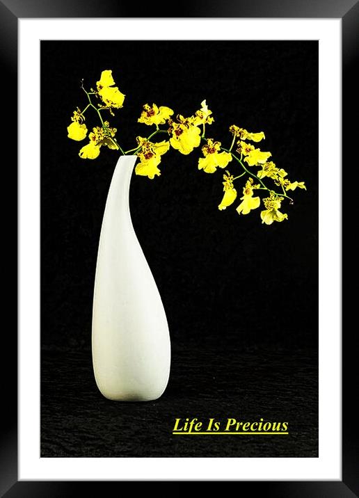 Life Is Precious Framed Mounted Print by Elf Evans