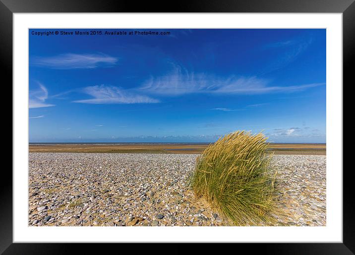  Pebbles Framed Mounted Print by Steve Morris