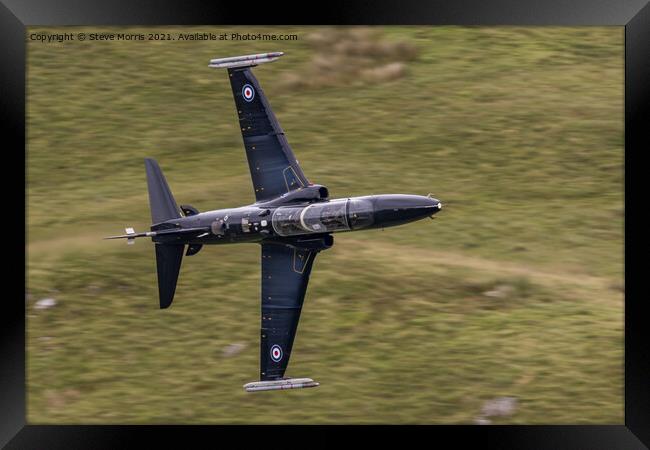 Hawk T2 Framed Print by Steve Morris