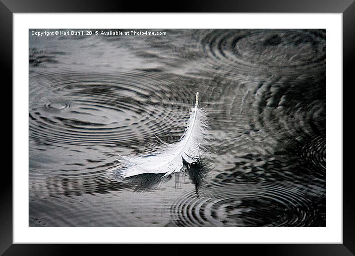  Swan feather Framed Mounted Print by Karl Burrill