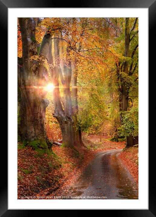 Stunning autumn forest road at sunrise in Norfolk Framed Mounted Print by Simon Bratt LRPS