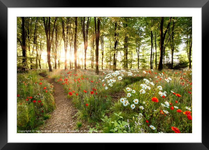 Forest sunrise with spring flowers and path Framed Mounted Print by Simon Bratt LRPS
