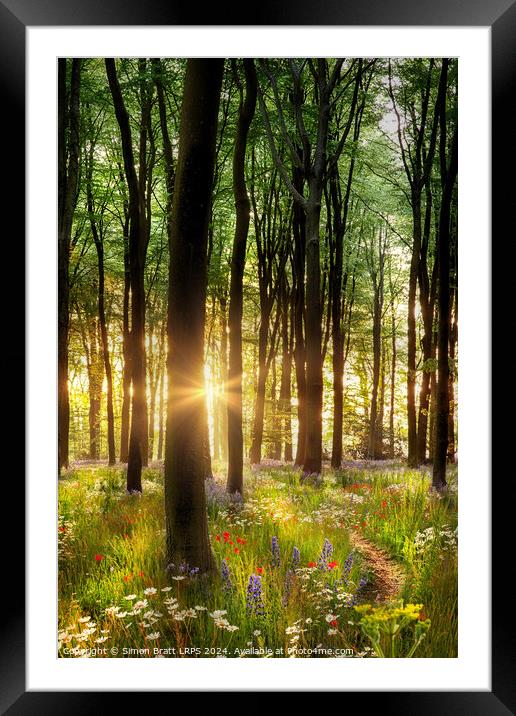 Beautiful wild flower woodland path with dawn sunrise UK Framed Mounted Print by Simon Bratt LRPS