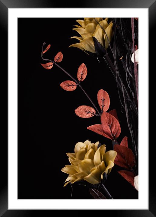 Flowers arrangement with black background Framed Mounted Print by Simon Bratt LRPS