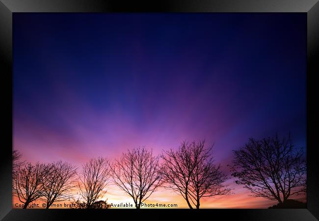Fiery winter sunset with line of bare trees Framed Print by Simon Bratt LRPS