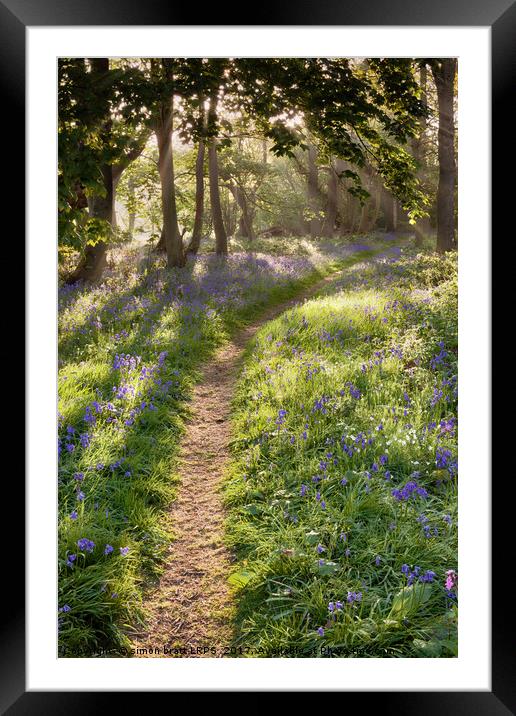 Bluebell woodland path with dreamy sunrise Framed Mounted Print by Simon Bratt LRPS