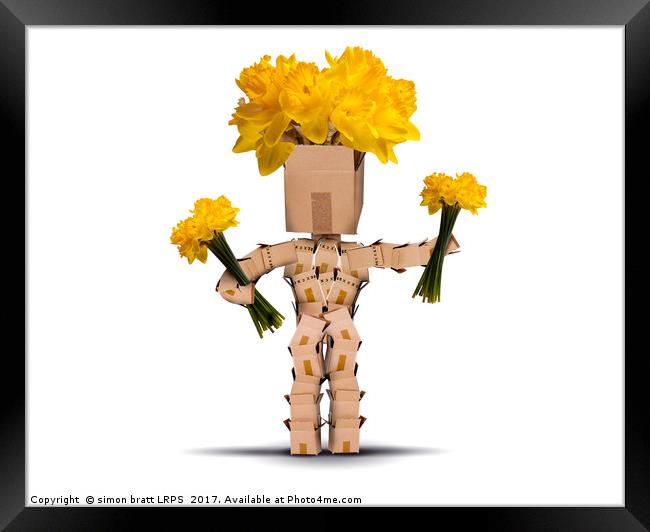 Box character holding bunches of daffodils Framed Print by Simon Bratt LRPS