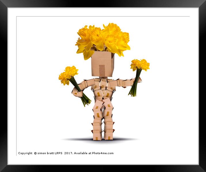 Box character holding bunches of daffodils Framed Mounted Print by Simon Bratt LRPS