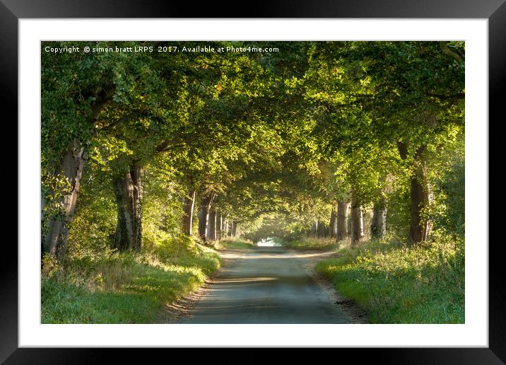 Tree arches over a country lane Framed Mounted Print by Simon Bratt LRPS