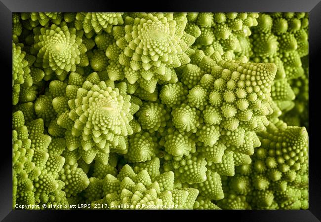Romanesco broccoli vegetable close up Framed Print by Simon Bratt LRPS
