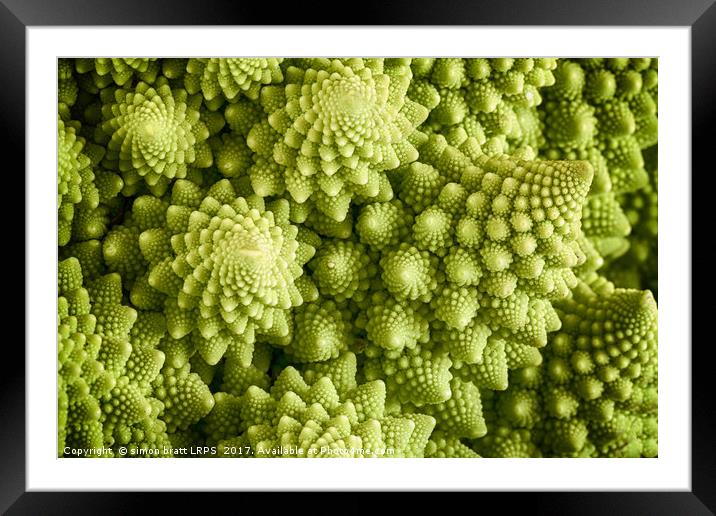 Romanesco broccoli vegetable close up Framed Mounted Print by Simon Bratt LRPS