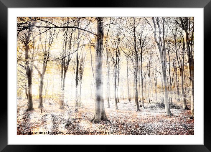 Whispering woodland in autumn fall Framed Mounted Print by Simon Bratt LRPS