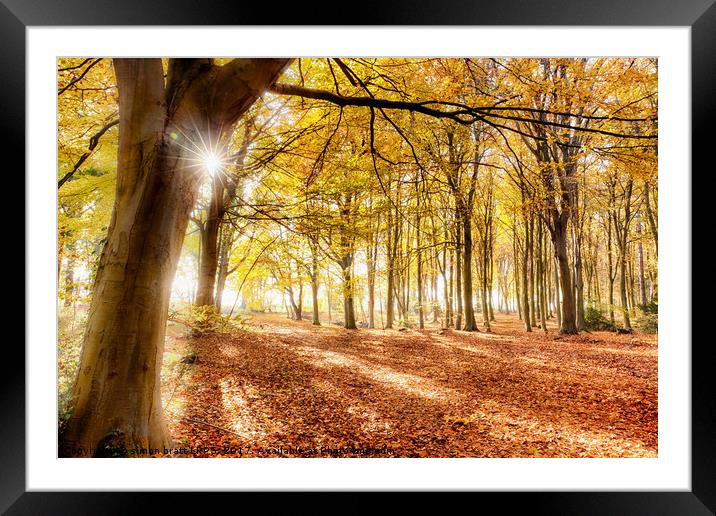 Autumn in amazing colour Framed Mounted Print by Simon Bratt LRPS
