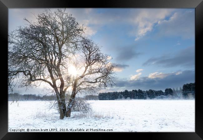 Bare tree in a snow field with early sunrise Framed Print by Simon Bratt LRPS