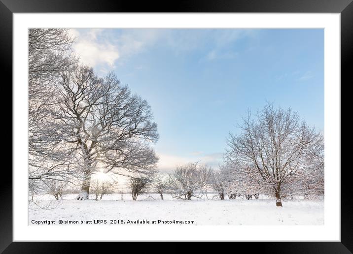 Snow covered tree line with early morning sunrise Framed Mounted Print by Simon Bratt LRPS