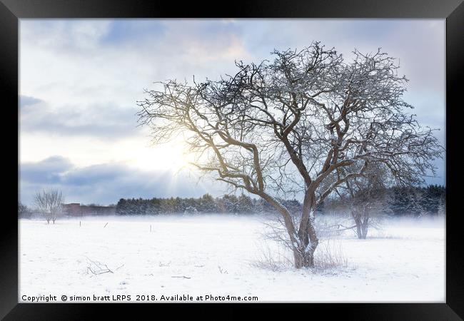 Bare tree in a snow field with sunrise Framed Print by Simon Bratt LRPS
