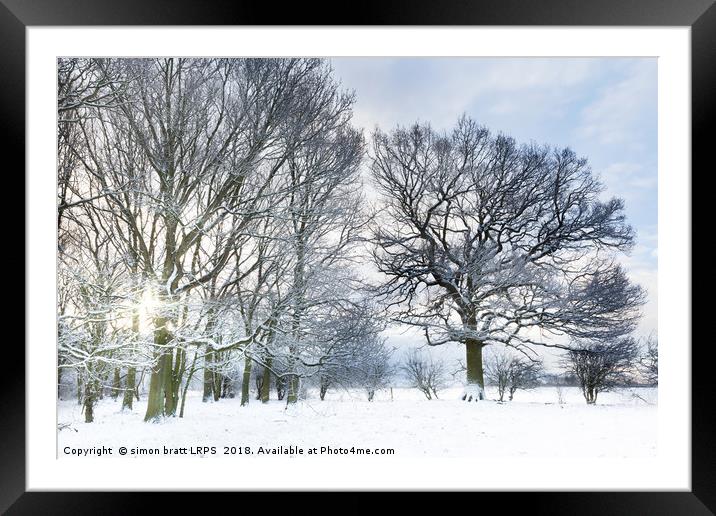 Snow covered forest with early morning sunrise Framed Mounted Print by Simon Bratt LRPS