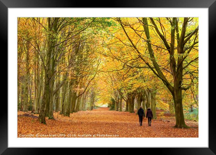 Autumn walk in the woodland Framed Mounted Print by Simon Bratt LRPS