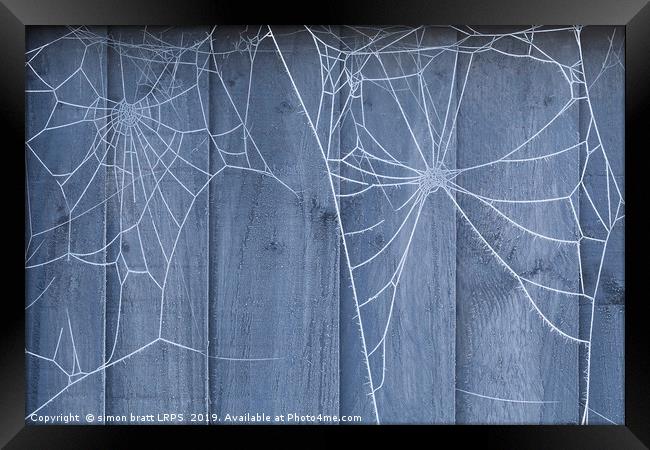 Spiders web on fence with winter ice Framed Print by Simon Bratt LRPS